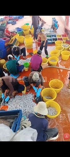 Tuyển nam lao động đi tàu cá Kiên giang - thu nhập 15 - 20 triệu/tháng