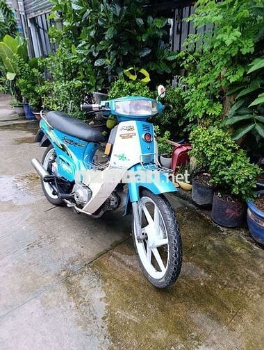Max 50cc bstp