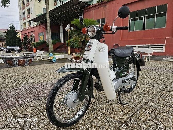 Honda Cub 81/86/50cc Kim Vàng Giọt Lệ BS 9229