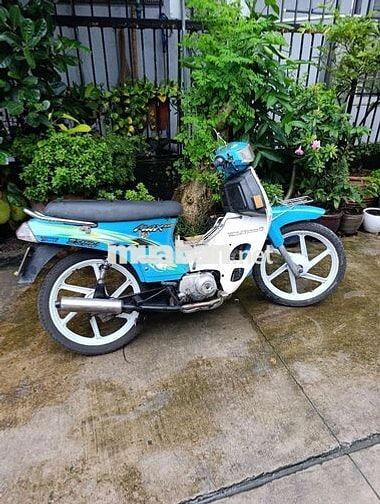 Max 50cc bstp