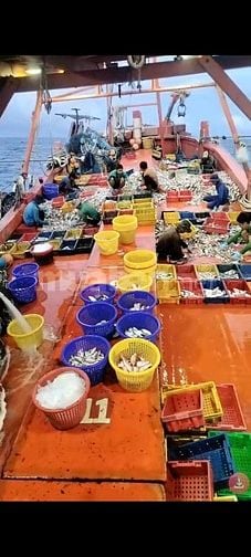 Tuyển nam lao động đi tàu cá Kiên giang - thu nhập 15 - 20 triệu/tháng