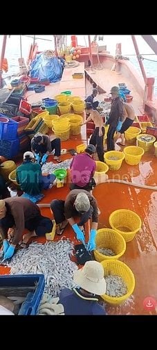Tuyển nam lao động đi tàu cá Kiên giang - thu nhập 15 - 20 triệu/tháng
