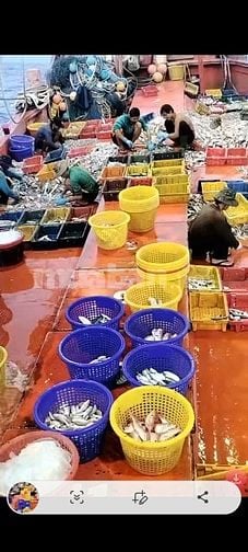 Tuyển nam lao động đi tàu cá Kiên giang - thu nhập 15 - 20 triệu/tháng