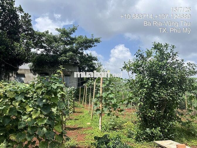 Thanh lý lô đất 2 mặt tiền 1.431m2 tại Hắc Dịch