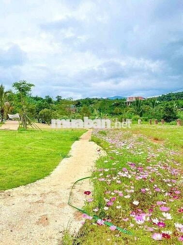 😍ĐẤT THỔ CƯ NGHỈ DƯỠNG – VIEW HỒ CỰC ĐẸP, KHÍ HẬU MÁT MẺ