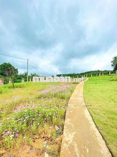 😍ĐẤT THỔ CƯ NGHỈ DƯỠNG – VIEW HỒ CỰC ĐẸP, KHÍ HẬU MÁT MẺ