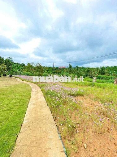 😍ĐẤT THỔ CƯ NGHỈ DƯỠNG – VIEW HỒ CỰC ĐẸP, KHÍ HẬU MÁT MẺ