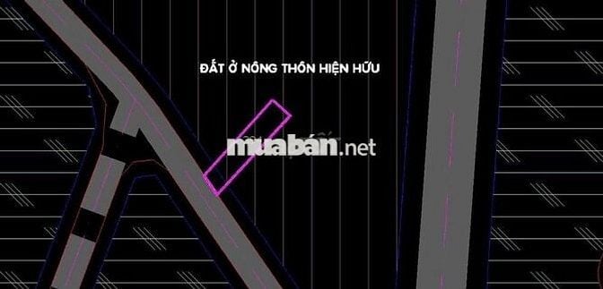 117m2/440TR  PHƯỚC THẠNH MT ĐƯỜNG VÕ VĂN ĐIỀU FULL THỔ , SHR