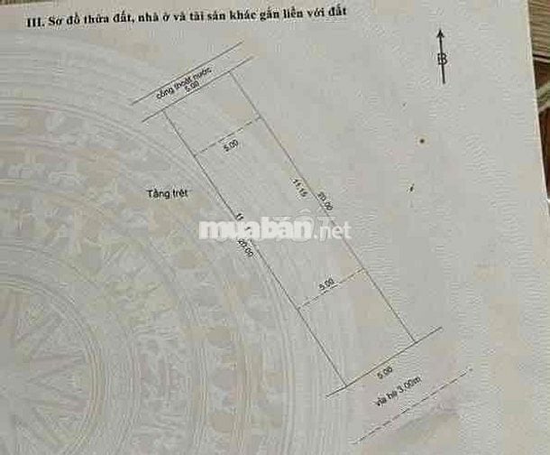 Tôi cần bán đất tặng nhà cấp 4 đường Xuân Thiều 11