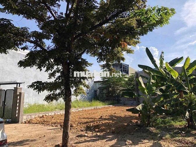 Lô đất siêu đẹp trục chính Bàu Mạc 17 thông Nguyễn An Ninh