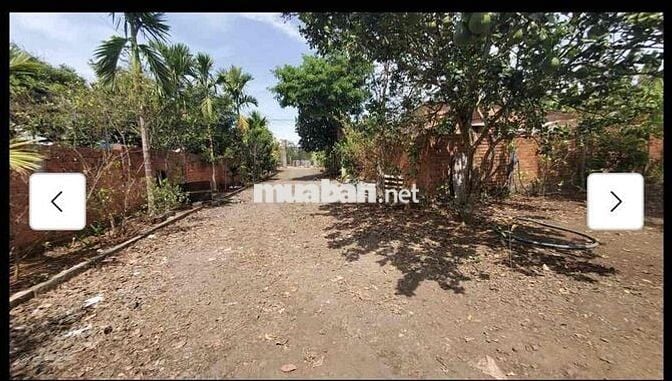 BÁN HƠN 4000m2 ĐẤT PHỦ HỒNG CÓ THỔ CƯ