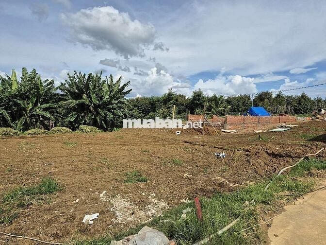 Còn vài lô giá tốt cách quốc lộ 55 Lộc Thành 300m