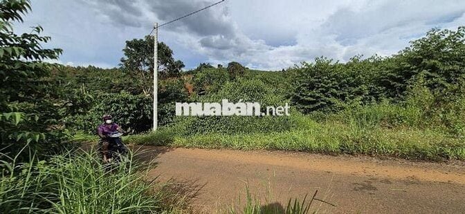 Đất view đẹp,  giá Ngộp thuộc  Tân Lạc Bảo Lâm
