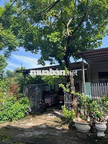 Tôi cần bán đất tặng nhà cấp 4 đường Xuân Thiều 11