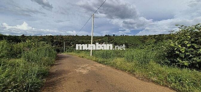 Đất view đẹp,  giá Ngộp thuộc  Tân Lạc Bảo Lâm