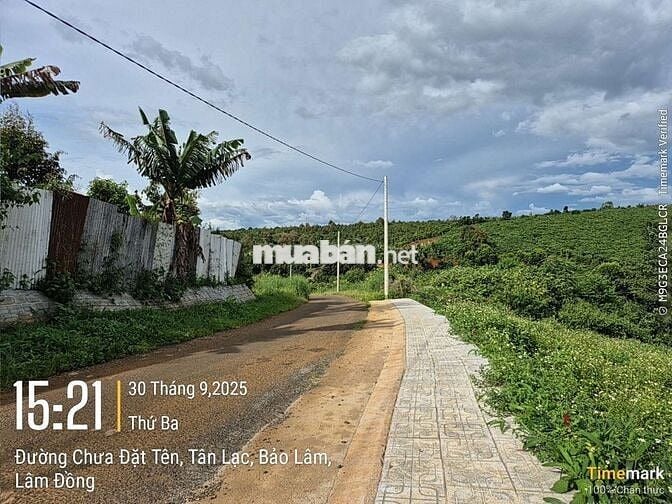 Đất view đẹp,  giá Ngộp thuộc  Tân Lạc Bảo Lâm