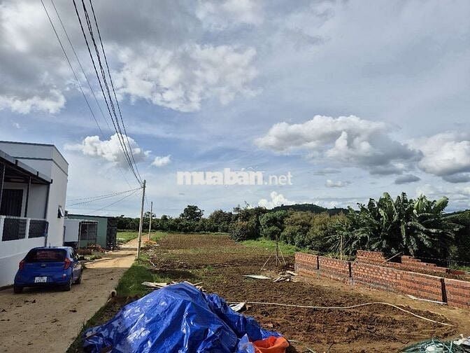 Còn vài lô giá tốt cách quốc lộ 55 Lộc Thành 300m