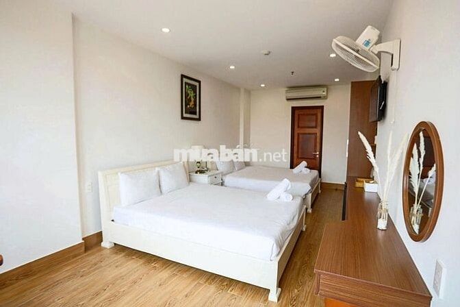 🌊 SEACOLOR BEACH STAY – 446 VÕ NGUYÊN GIÁP 🌊