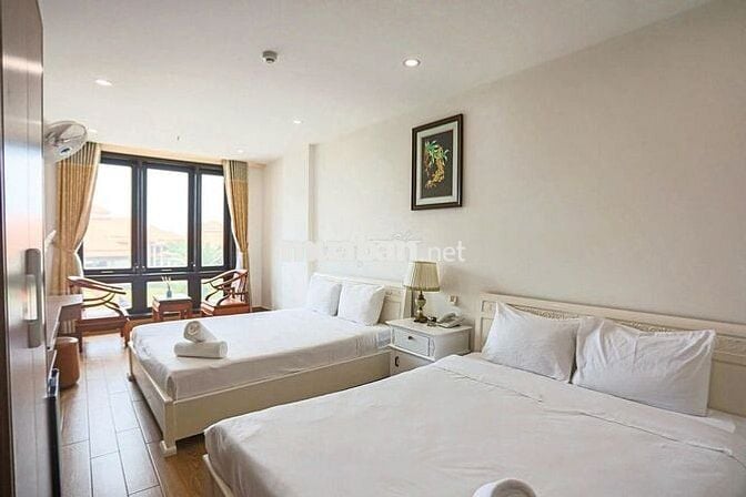 🌊 SEACOLOR BEACH STAY – 446 VÕ NGUYÊN GIÁP 🌊