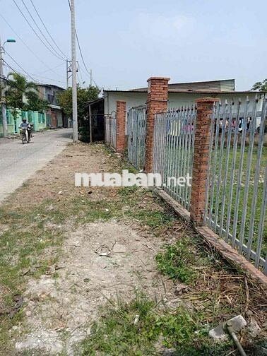 BÁN ĐẤT TRỒNG CÂY LÂU NĂM NHÀ BÈ