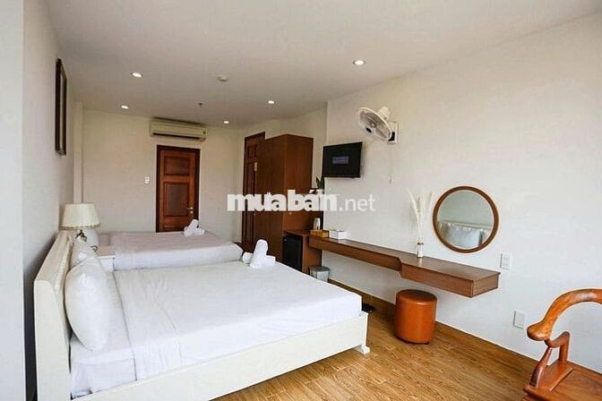 🌊 SEACOLOR BEACH STAY – 446 VÕ NGUYÊN GIÁP 🌊