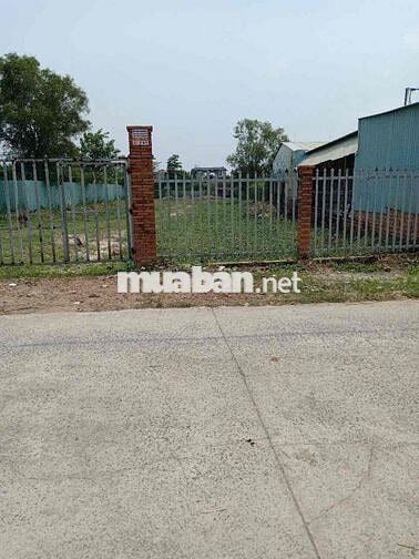 BÁN ĐẤT TRỒNG CÂY LÂU NĂM NHÀ BÈ