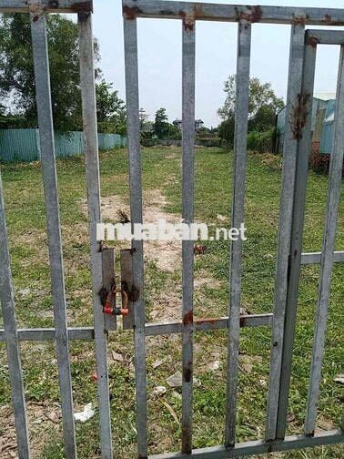 BÁN ĐẤT TRỒNG CÂY LÂU NĂM NHÀ BÈ