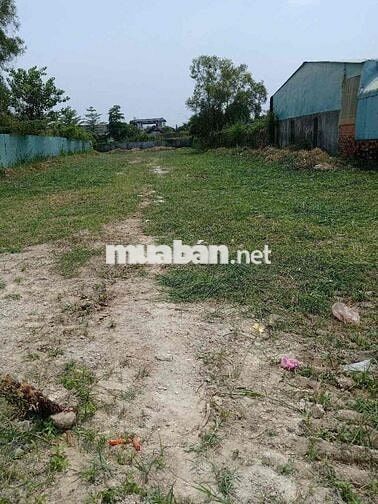 BÁN ĐẤT TRỒNG CÂY LÂU NĂM NHÀ BÈ