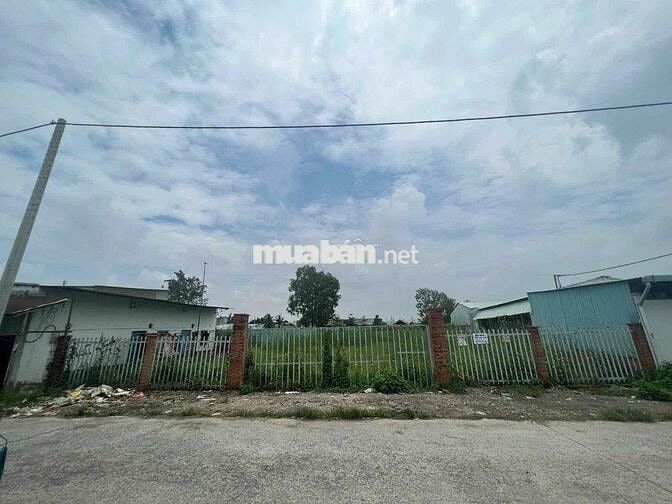 BÁN ĐẤT TRỒNG CÂY LÂU NĂM NHÀ BÈ