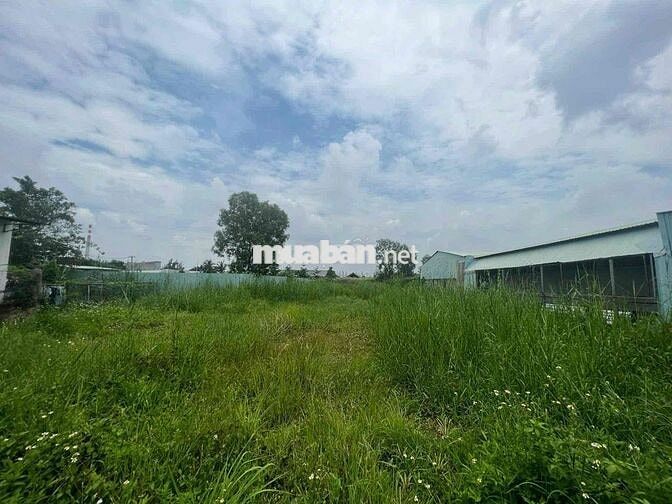 BÁN ĐẤT TRỒNG CÂY LÂU NĂM NHÀ BÈ