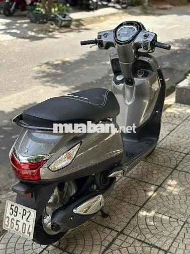 🌈Grandle cực đẹp máy rin siêu êm - CÓ TRẢ GÓP