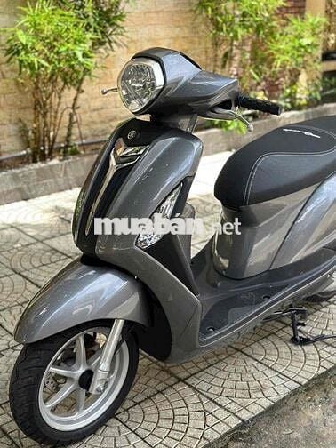 🌈Grandle cực đẹp máy rin siêu êm - CÓ TRẢ GÓP