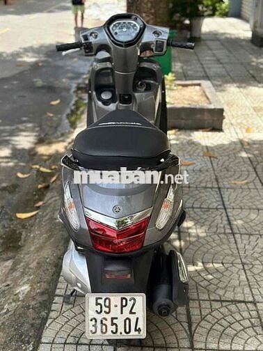 🌈Grandle cực đẹp máy rin siêu êm - CÓ TRẢ GÓP