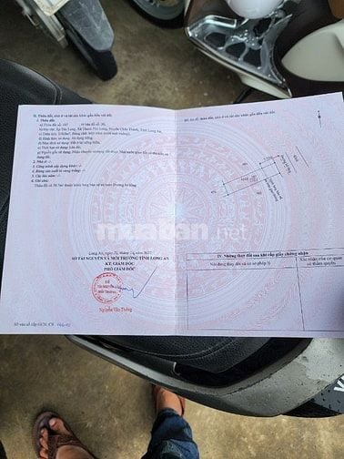 Cần bán gấp đất thổ cư, đường xe ô tô, sổ hồng riêng