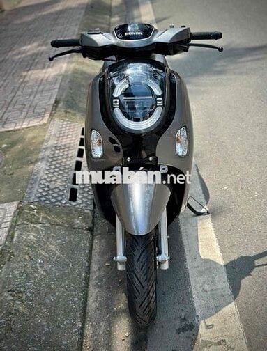 Scoopy 110i New 2025 Giá Cực Tốt