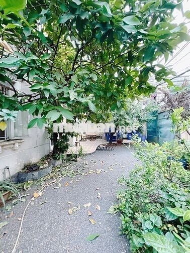 Biệt thự mini Xô Viết Nghệ Tĩnh, Phường 25, Bình Thạnh, 12x16, 32,5 tỷ