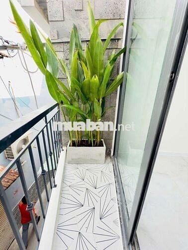 Bán nhà mới xinh đường Ba Đình P8 Q8