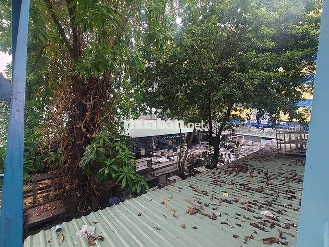 ✅CHO THUÊ BIỆT THỰ SÂN VƯỜN - NGUYỄN TRỌNG TUYỂN, P.1, QUẬN TÂN BÌNH