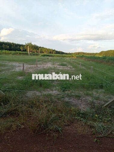 Đất TPHCM cần bán gấp 200m2 có 100m tc giá 390tr
