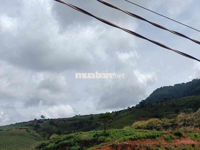 BÁN GẤP đất view đồi , Ngay trung tâm trị trấn Lạc Dương