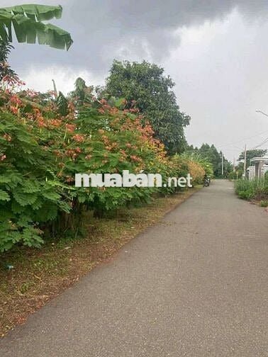 29X33 mét.BÁN ĐẤT MT NHỰA, KHU DÂN CƯ