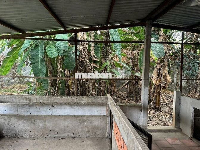 Bán nhà mặt tiền đường Bùi Thị Điệt, xã Phạm Văn Cội, huyện Củ Chi