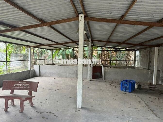 Bán nhà mặt tiền đường Bùi Thị Điệt, xã Phạm Văn Cội, huyện Củ Chi