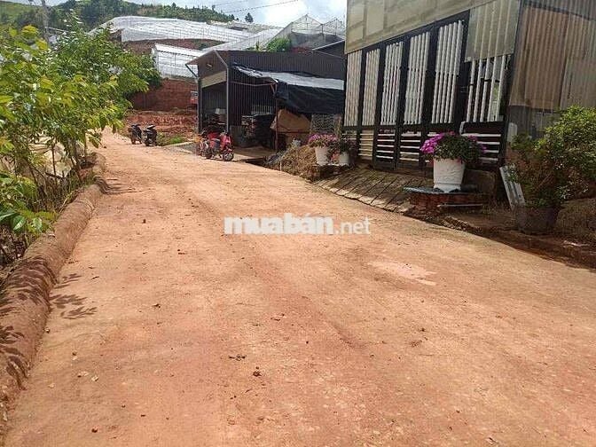 BÁN GẤP đất view đồi , Ngay trung tâm trị trấn Lạc Dương