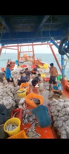 Tuyển dụng 4 lao động phổ thông - ngư phủ đi biển tại Phú Quốc, Kiên G