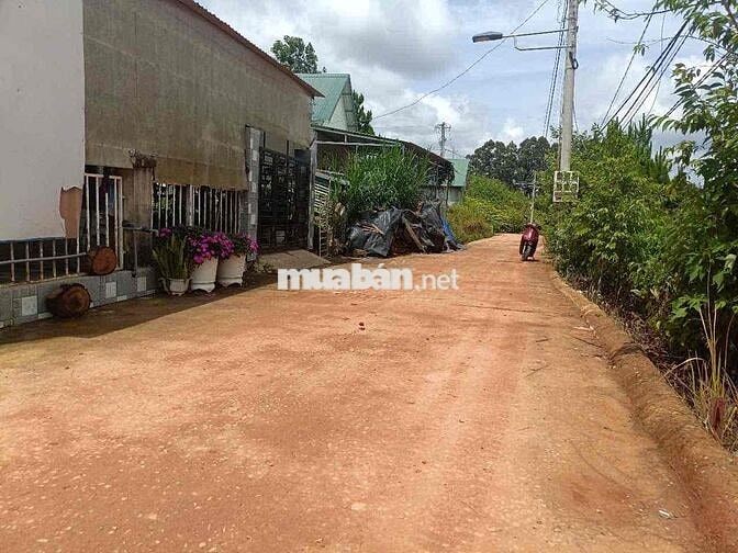 BÁN GẤP đất view đồi , Ngay trung tâm trị trấn Lạc Dương