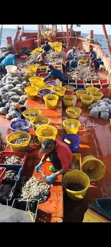 Tuyển dụng 4 lao động phổ thông - ngư phủ đi biển tại Phú Quốc, Kiên G