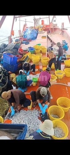 Tuyển dụng 4 lao động phổ thông - ngư phủ đi biển tại Phú Quốc, Kiên G