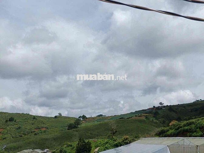 BÁN GẤP đất view đồi , Ngay trung tâm trị trấn Lạc Dương