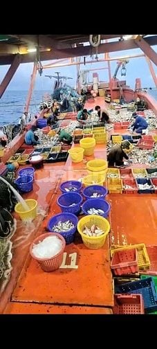 Tuyển dụng 4 lao động phổ thông - ngư phủ đi biển tại Phú Quốc, Kiên G